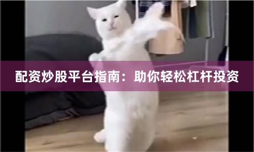 配资炒股平台指南：助你轻松杠杆投资