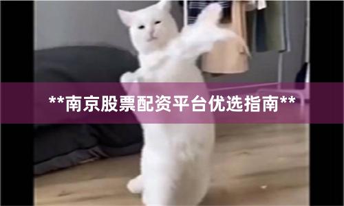 **南京股票配资平台优选指南**