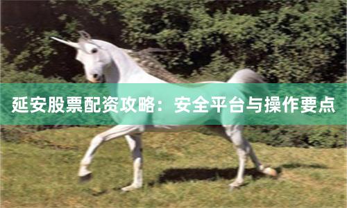 延安股票配资攻略：安全平台与操作要点